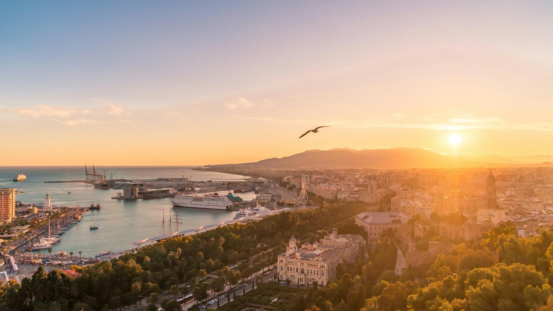 top view photography of city during daytime